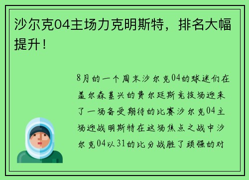 沙尔克04主场力克明斯特，排名大幅提升！