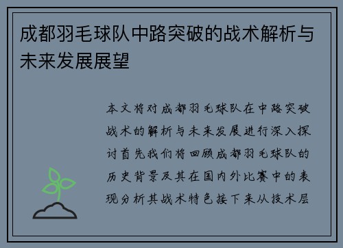 成都羽毛球队中路突破的战术解析与未来发展展望